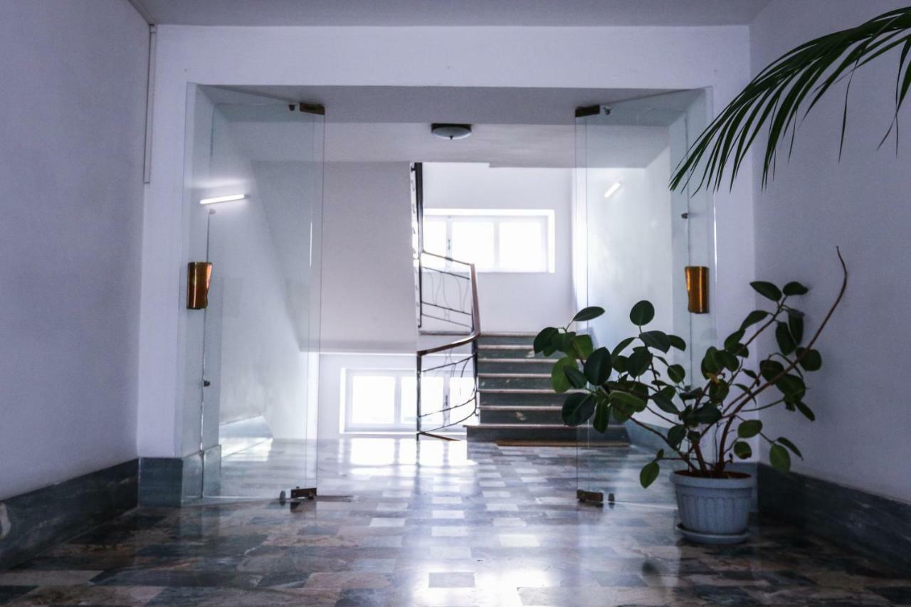 Mariohome ساساري المظهر الخارجي الصورة